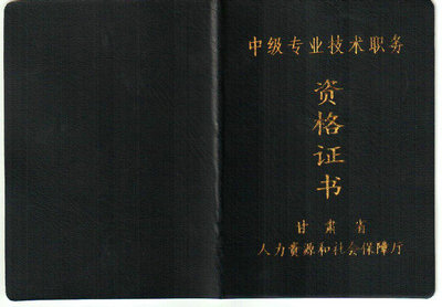 �L�ڒ쿿���������̎����߹����C��